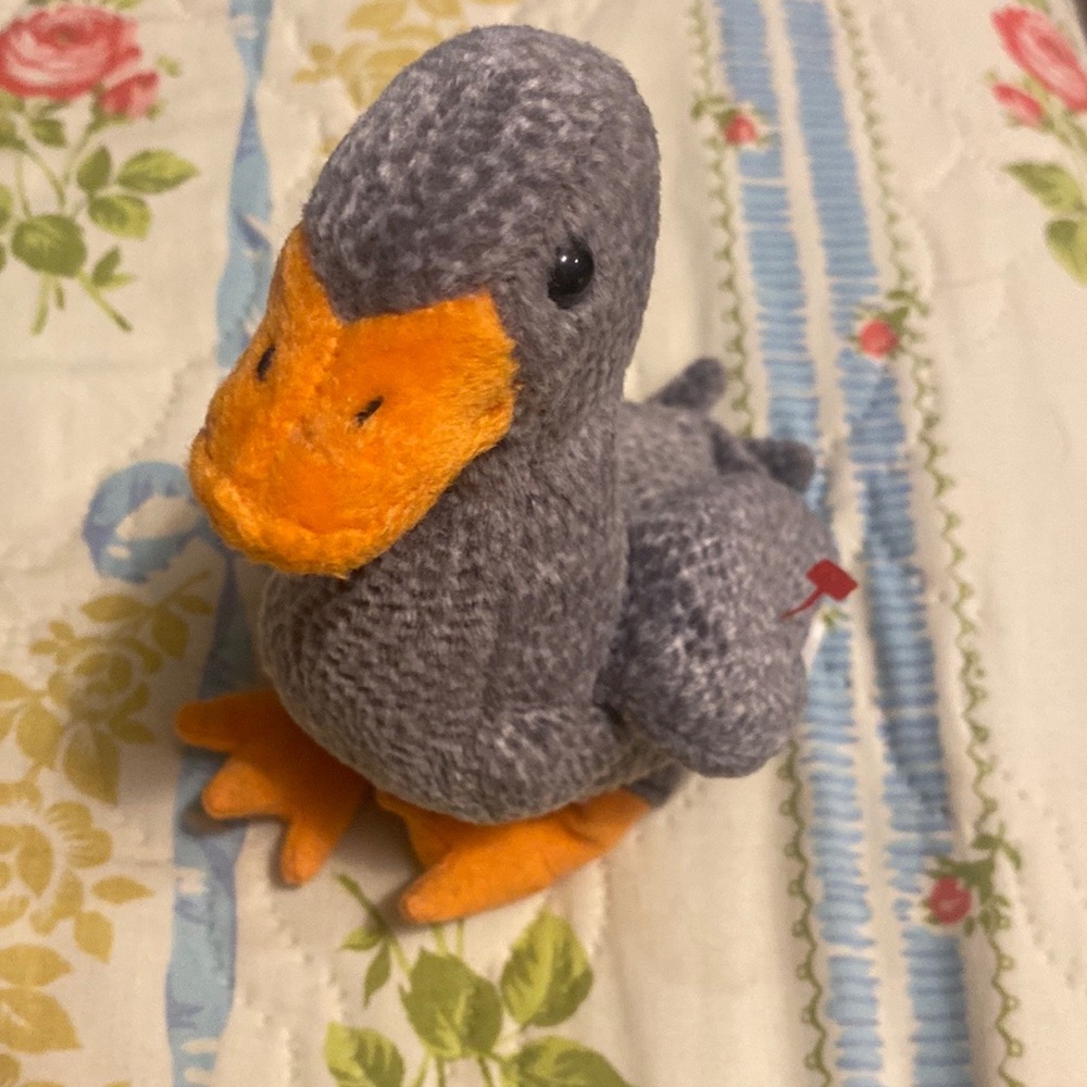 Beanie Honks the Goose - Picture 4 of 5